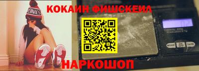 крисы Пенза