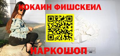крисы Пенза