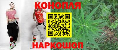 крисы Пенза