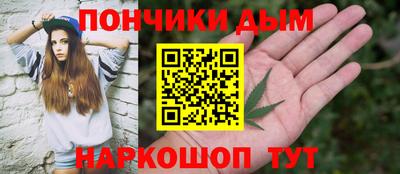 крисы Пенза
