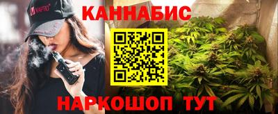 крисы Пенза