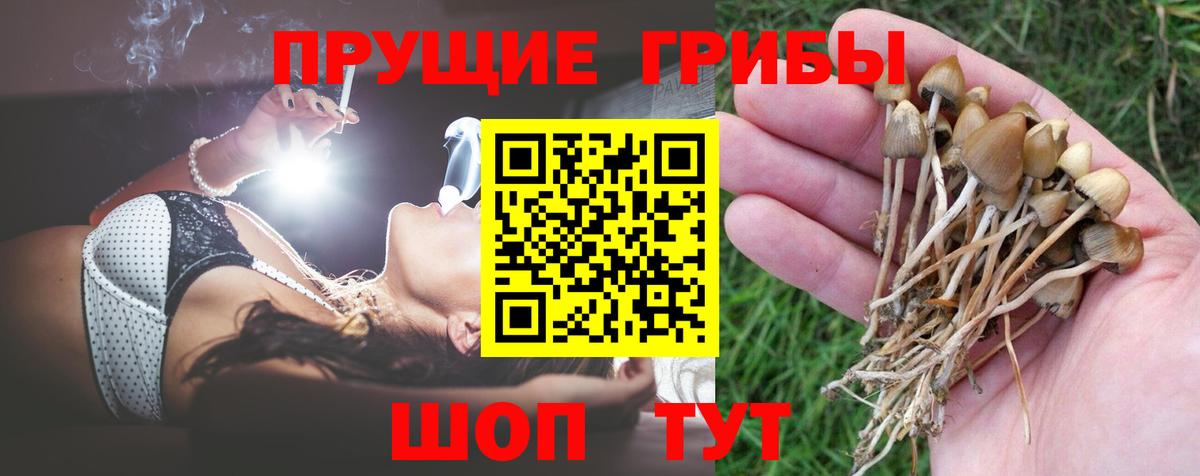 Псилоцибиновые грибы Magic Shrooms  Вход с VPN  Армавир 